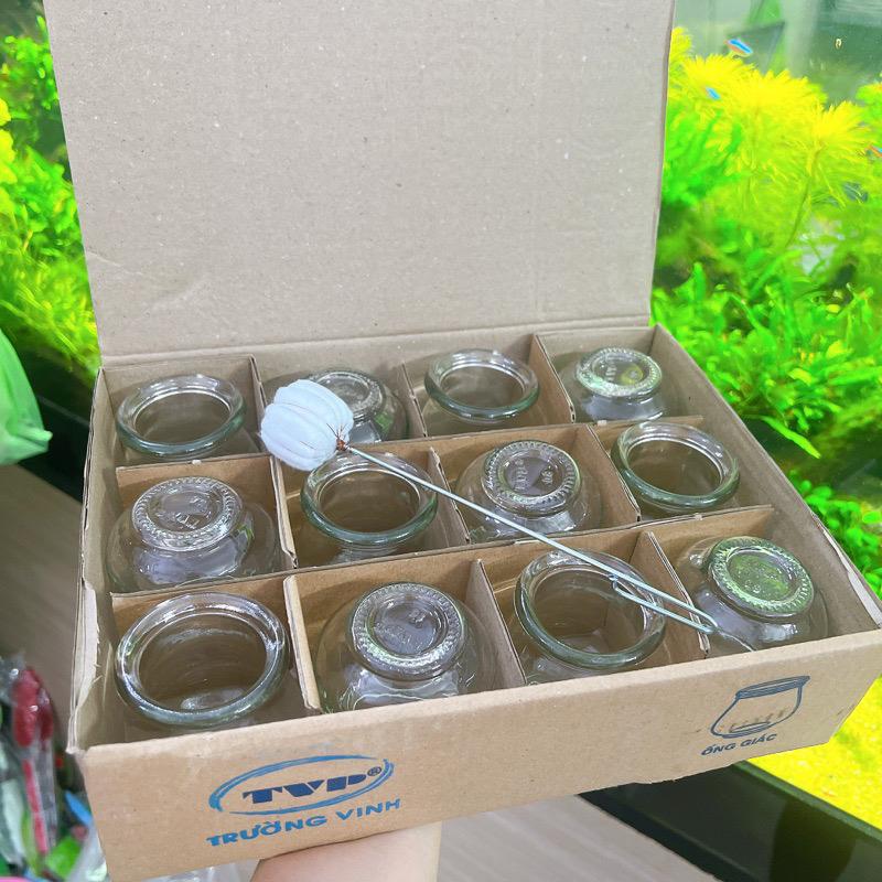 Bộ 12 Hũ Giác Hơi Thuỷ Tinh-duoc-ban-tai-ORISTORE- SỨC KHOẺ XANH
