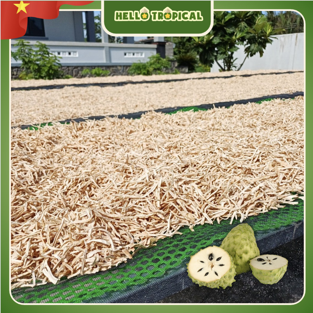 Trà mãng cầu xiêm túi lọc MINH CHÂU ( Hộp 24 túi lọc 5g )-duoc-ban-tai-HELLO TROPICAL VIETNAM