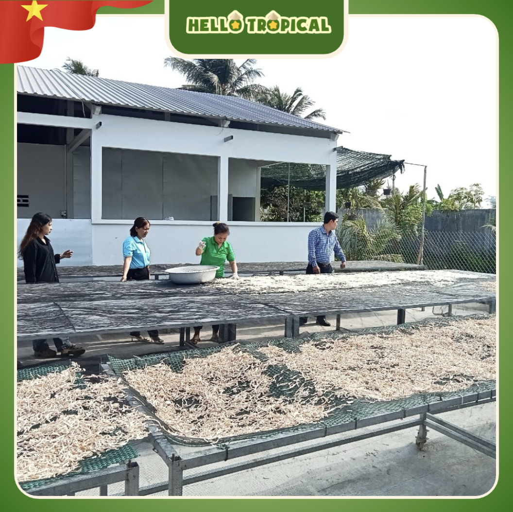 Trà mãng cầu xiêm túi lọc MINH CHÂU ( Hộp 24 túi lọc 5g )-duoc-ban-tai-HELLO TROPICAL VIETNAM