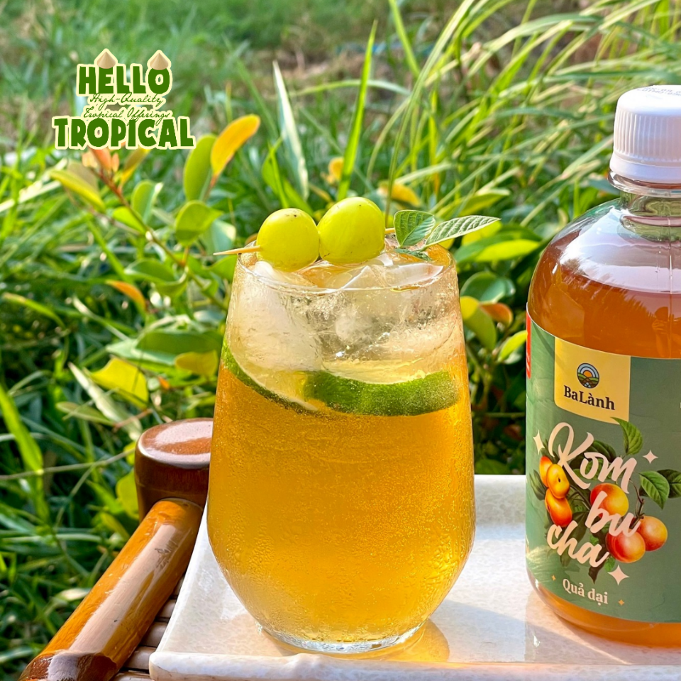 Kombucha quả dại ly 100ml-duoc-ban-tai-Hellô Trôpical