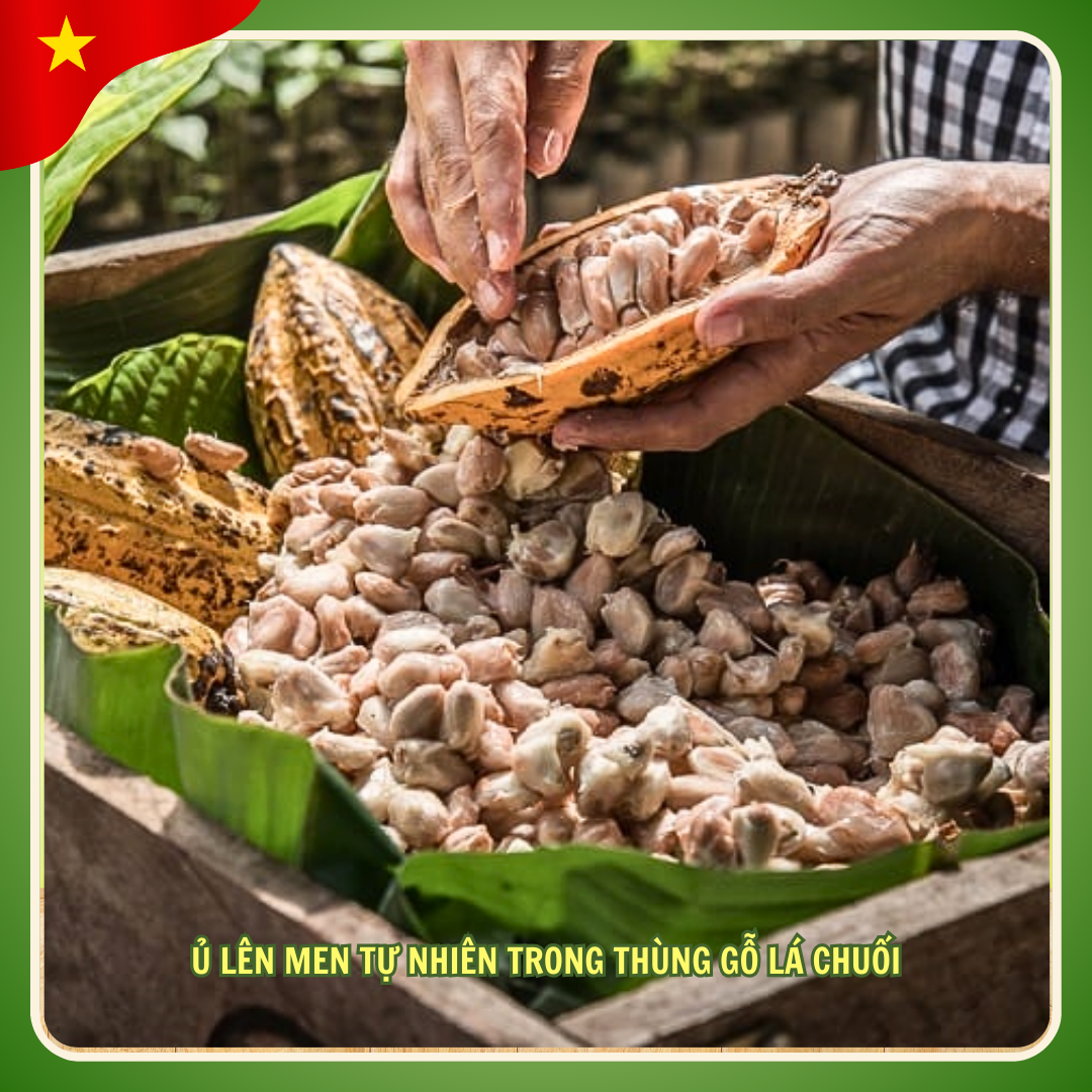 Bột cacao nguyên chất siêu hòa tan pha chế làm bánh CACAOMEKONG Trà Vinh (Gói tiết kiệm 400g)-duoc-ban-tai-HELLO TROPICAL VIETNAM