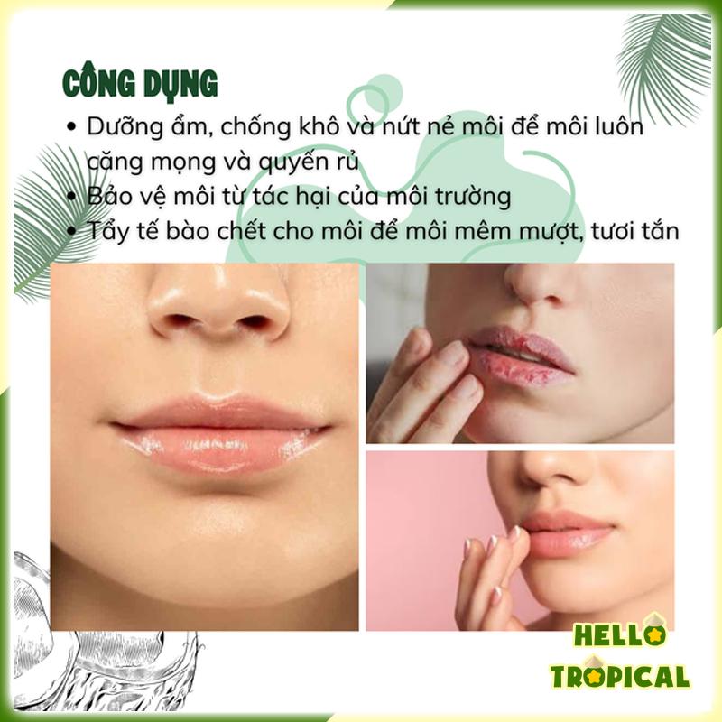 Dầu dừa ép lạnh tinh khiết dưỡng tóc dưỡng da có thể uống KOKOFI từ vùng dừa Trà Vinh (chai chiết tiết kiệm 500ml)-duoc-ban-tai-HELLO TROPICAL VIETNAM