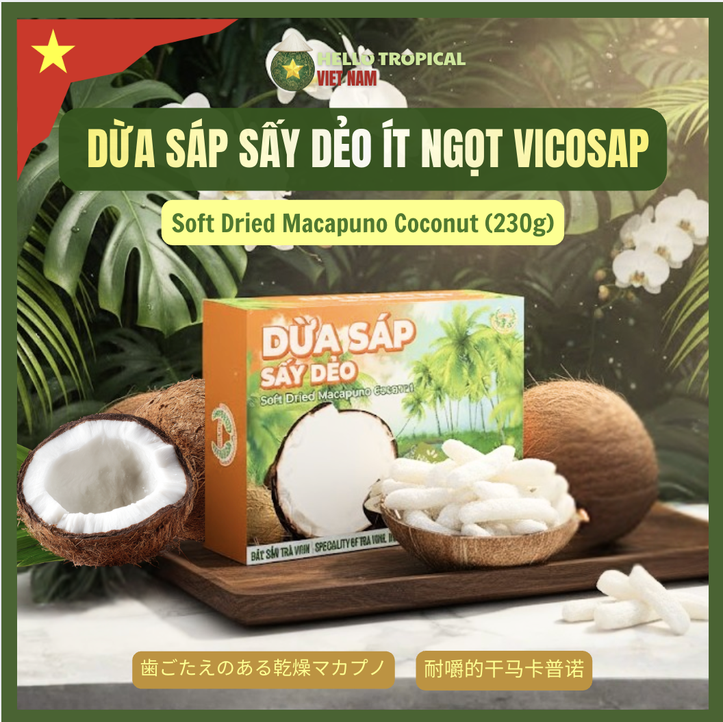 Dừa sáp sấy dẻo VICOSAP ( Hộp 230g )-duoc-ban-tai-HELLO TROPICAL VIETNAM