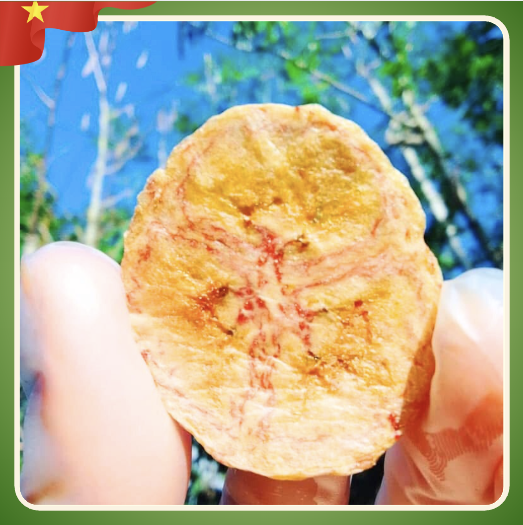 Chuối xiêm sấy mộc giòn tan TRUNG NHÂN (Hủ 215g)-duoc-ban-tai-HELLO TROPICAL VIETNAM