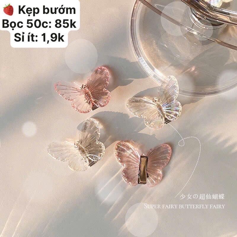 Kẹp bướm(sỉ ít)-duoc-ban-tai-Nguyễn Thị Huyền