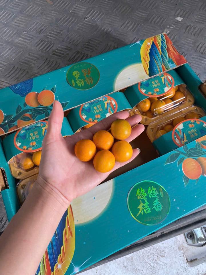 kim quất th 6 hộp-duoc-ban-tai-Trái Cây Nhập khẩu Ngọc Hiền