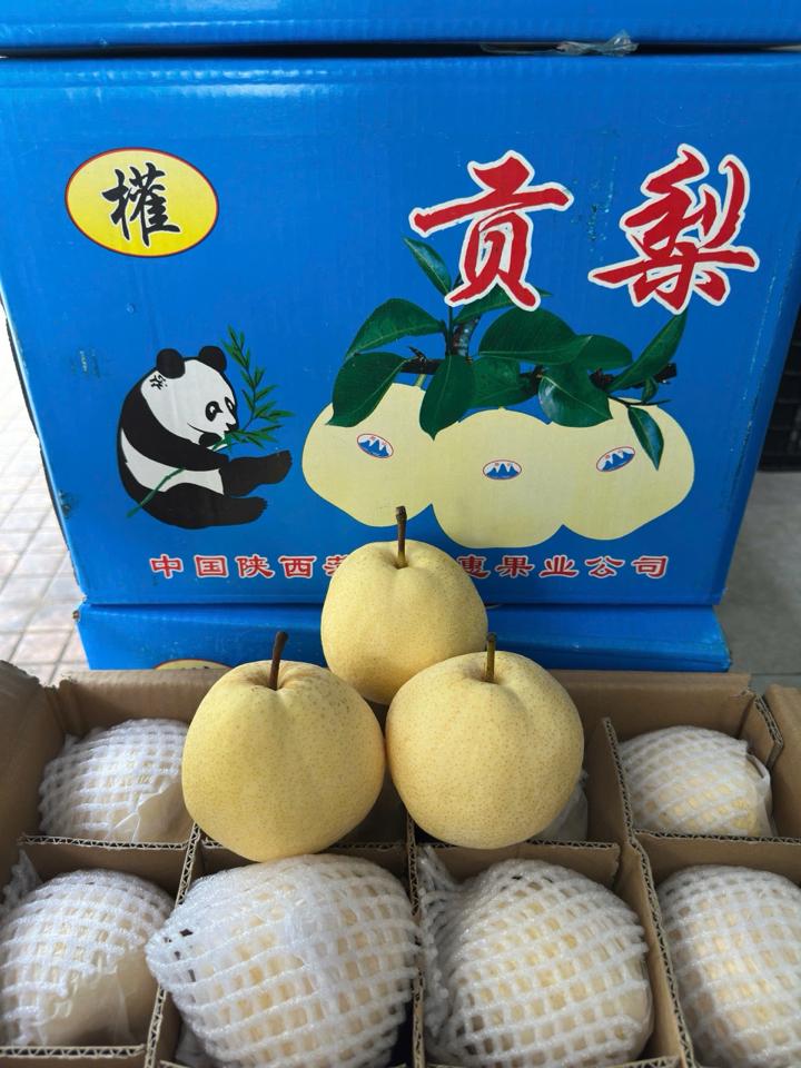 lê đường-duoc-ban-tai-Trái Cây Nhập khẩu Ngọc Hiền