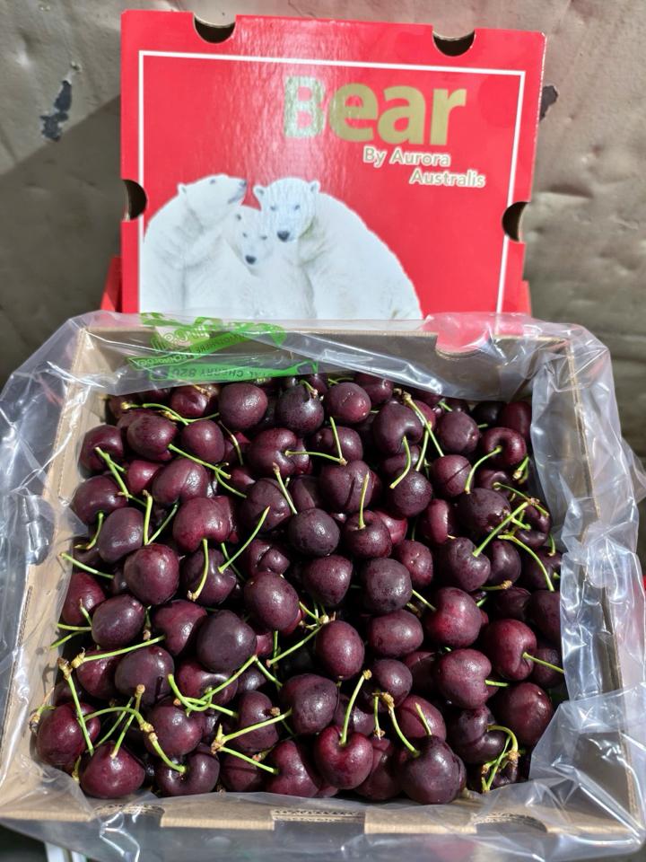  chery 5 kg-duoc-ban-tai-Trái Cây Nhập khẩu Ngọc Hiền