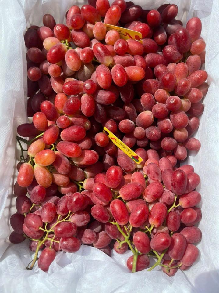 nho đỏ ruby-duoc-ban-tai-Trái Cây Nhập khẩu Ngọc Hiền