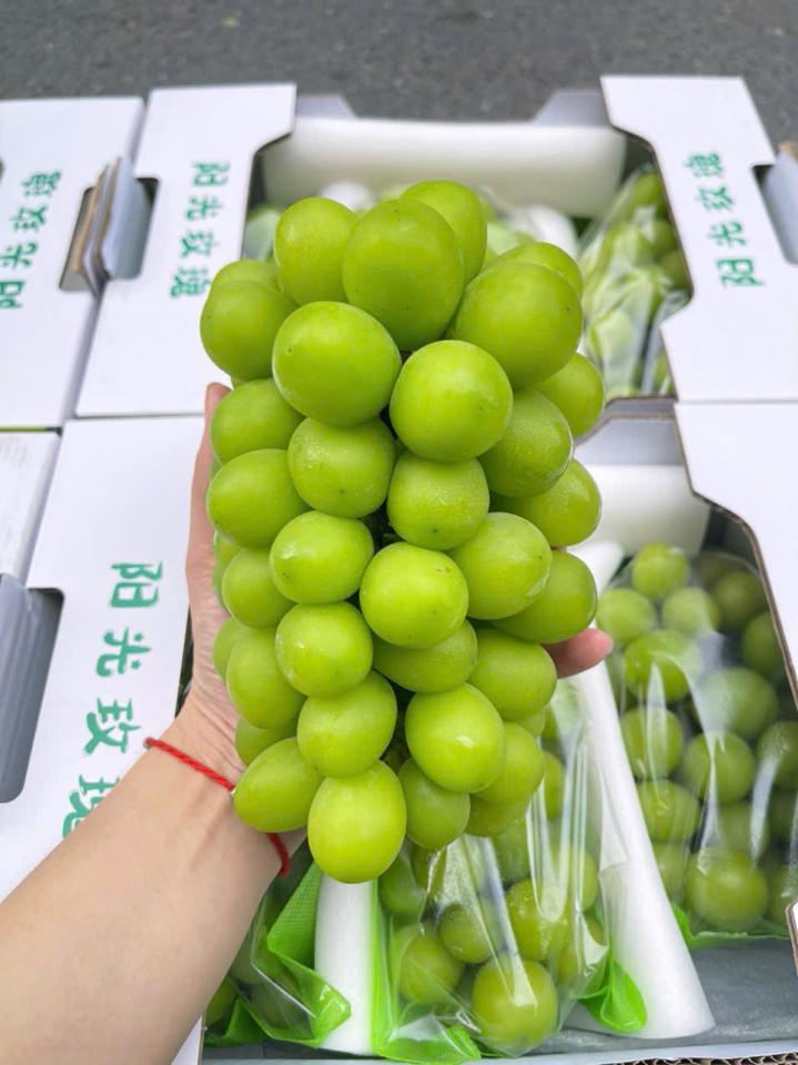 mẫu đơn thùng gấu -duoc-ban-tai-Trái Cây Nhập khẩu Ngọc Hiền