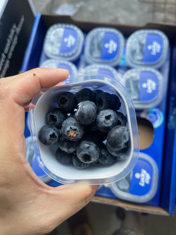 việt quất lucky cup-duoc-ban-tai-Trái Cây Nhập khẩu Ngọc Hiền