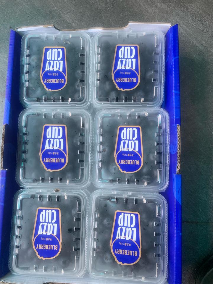 việt quất 12 hộp mỹ-duoc-ban-tai-Trái Cây Nhập khẩu Ngọc Hiền