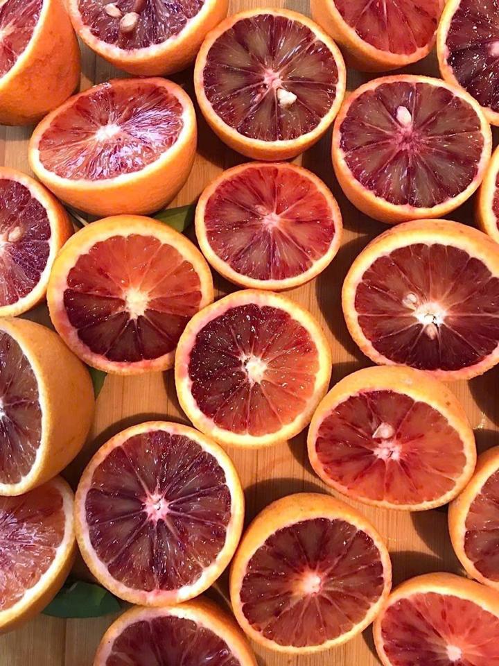 cam mật -duoc-ban-tai-Trái Cây Nhập khẩu Ngọc Hiền