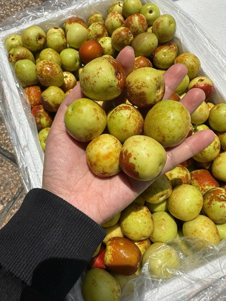táo tàu xốp 3kg-duoc-ban-tai-Trái Cây Nhập khẩu Ngọc Hiền