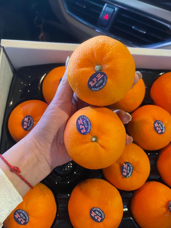 quýt khay-duoc-ban-tai-Trái Cây Nhập khẩu Ngọc Hiền