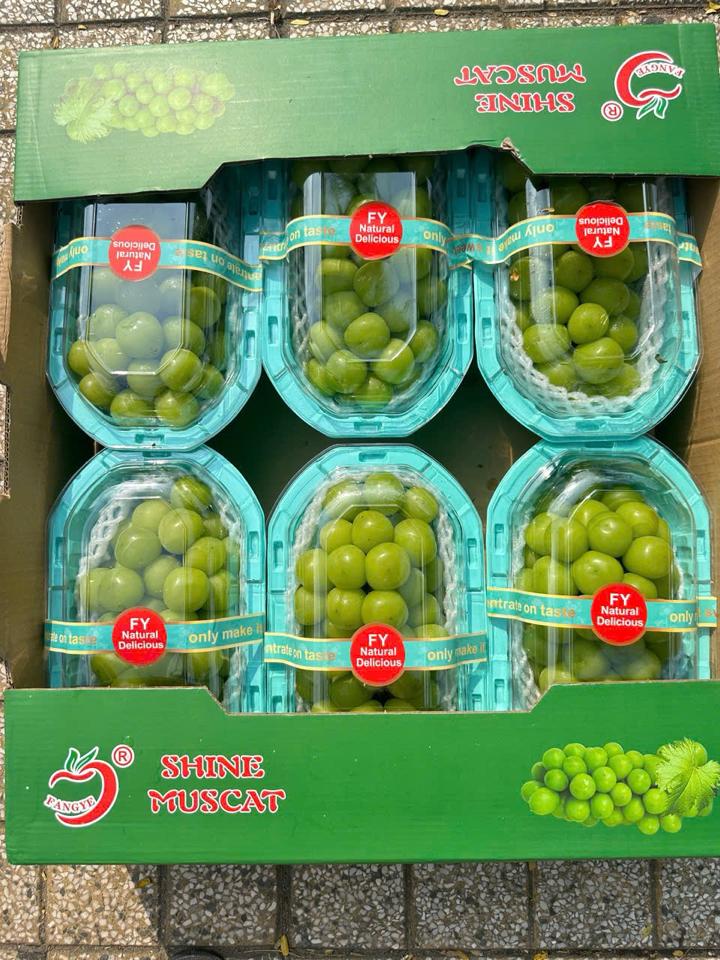 mđ 3 hộp -duoc-ban-tai-Trái Cây Nhập khẩu Ngọc Hiền