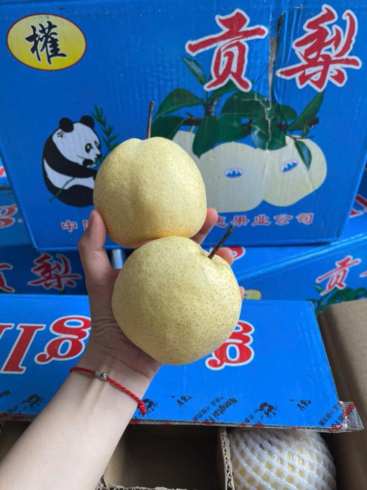 lê đường -duoc-ban-tai-Trái Cây Nhập khẩu Ngọc Hiền