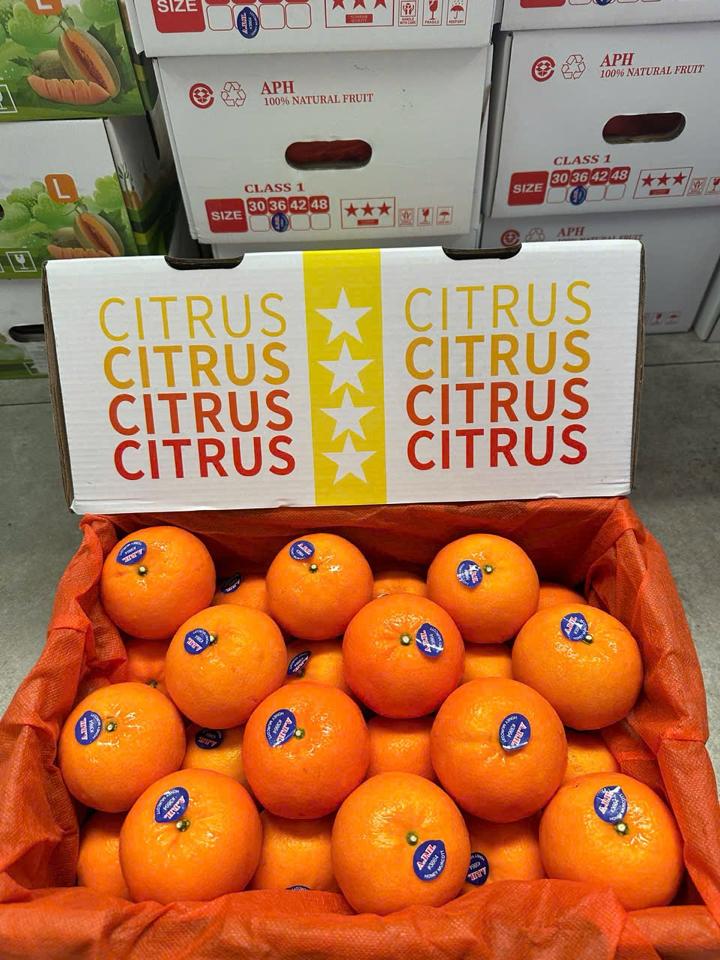 quýt 2ph.-duoc-ban-tai-Trái Cây Nhập khẩu Ngọc Hiền