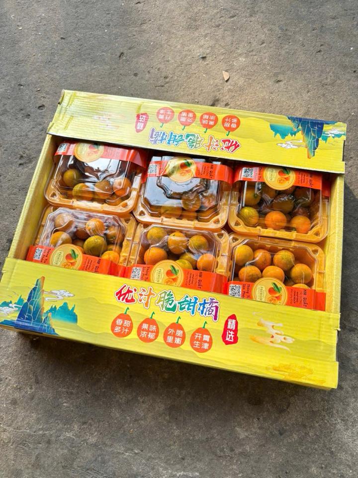kim quất thùng vàng 400g-duoc-ban-tai-Trái Cây Nhập khẩu Ngọc Hiền