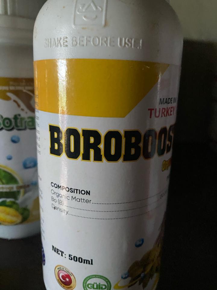 Boroboost-duoc-ban-tai-Ngoan Gái