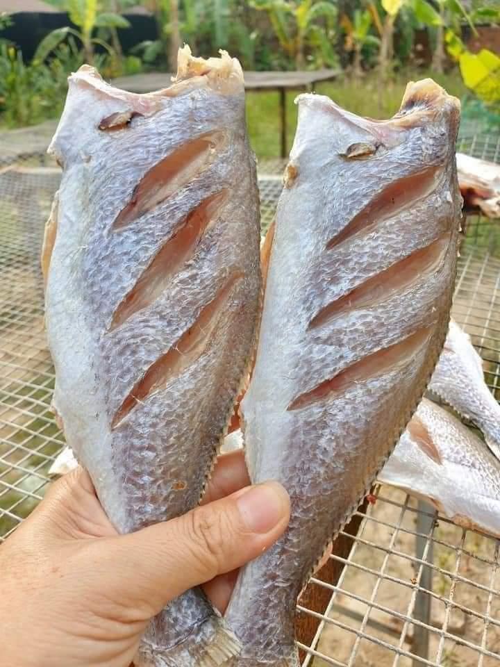 Khô cá đù size đại-duoc-ban-tai-Hihihouse