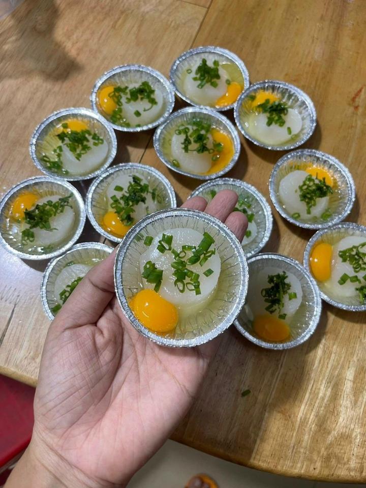 Còi Sò Điệp khổng lồ-duoc-ban-tai-Hihihouse
