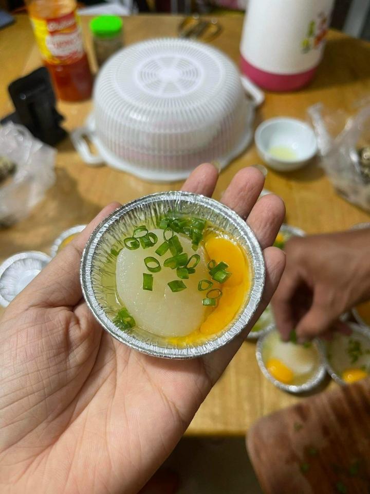 Còi Sò Điệp khổng lồ-duoc-ban-tai-Hihihouse