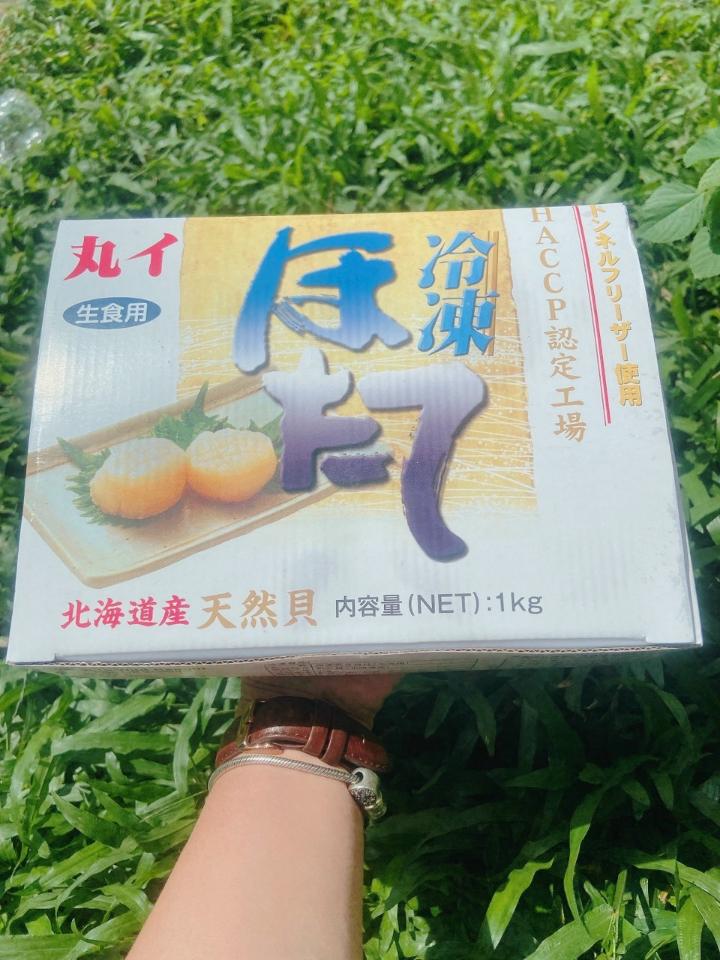 Còi Sò Điệp khổng lồ-duoc-ban-tai-Hihihouse