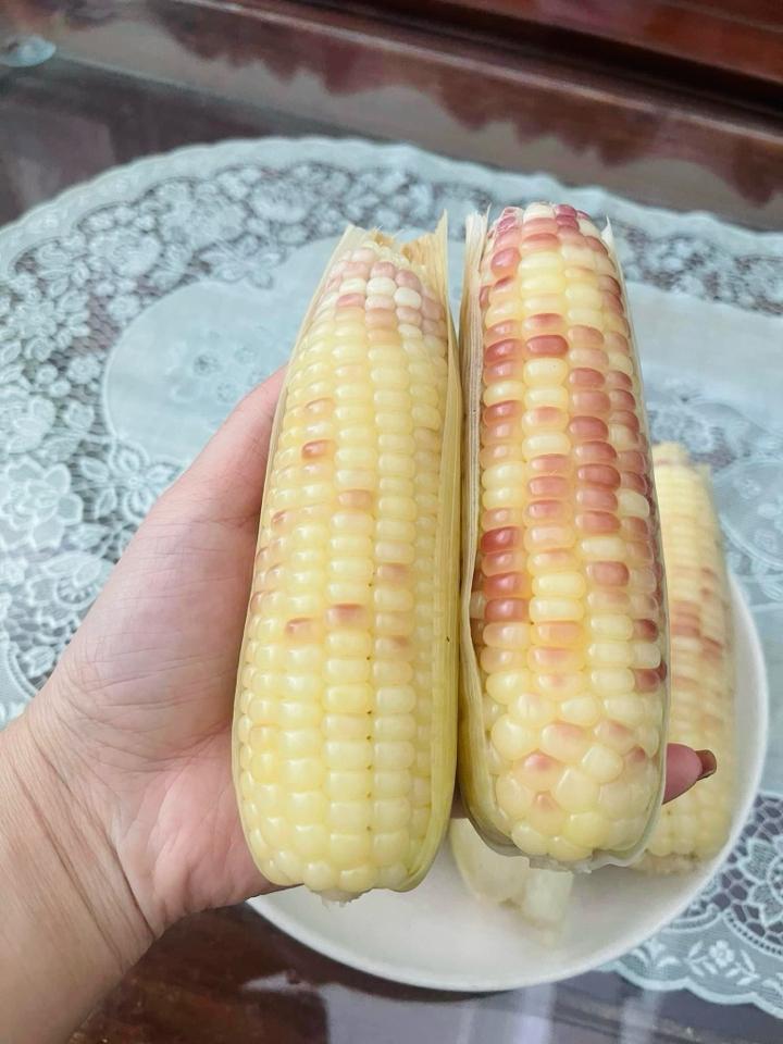 Ngô mini Điện Biên-duoc-ban-tai-Tường Khôi