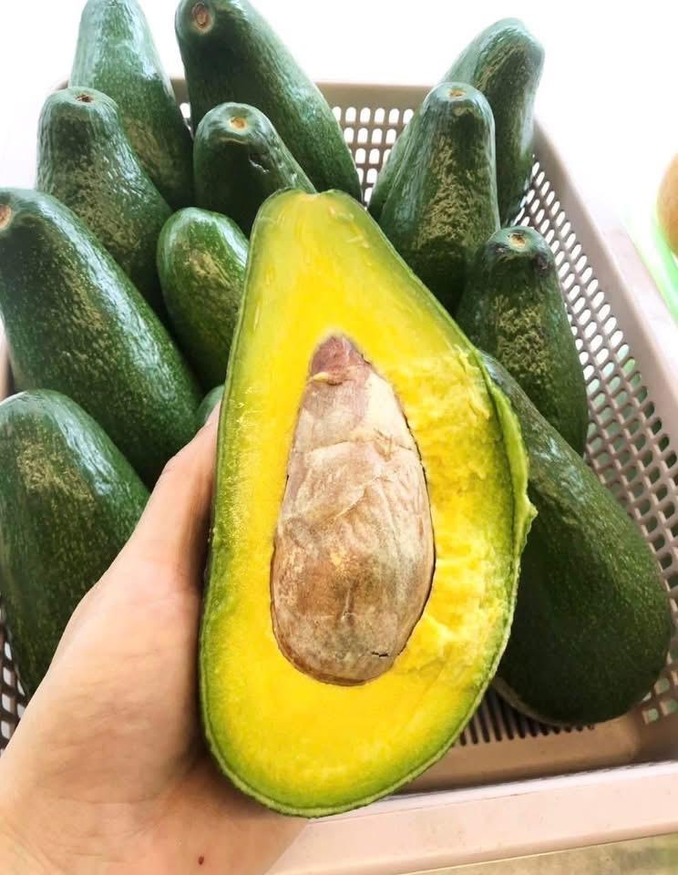 Bơ ông Khôi-duoc-ban-tai-Tường Khôi