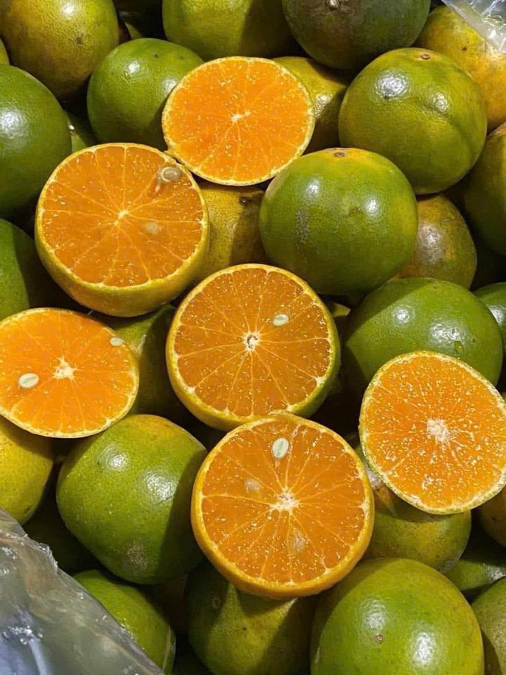 Quýt đường SG-duoc-ban-tai-Tường Khôi