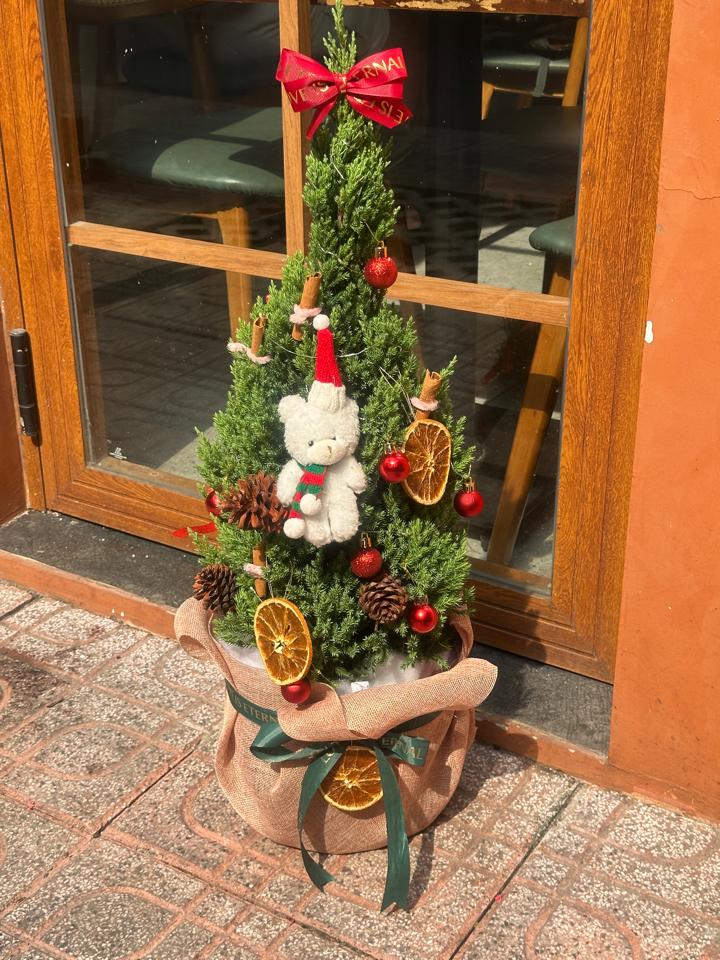 Cây thông noel cao 1m-duoc-ban-tai-Một Tiệm Hoa