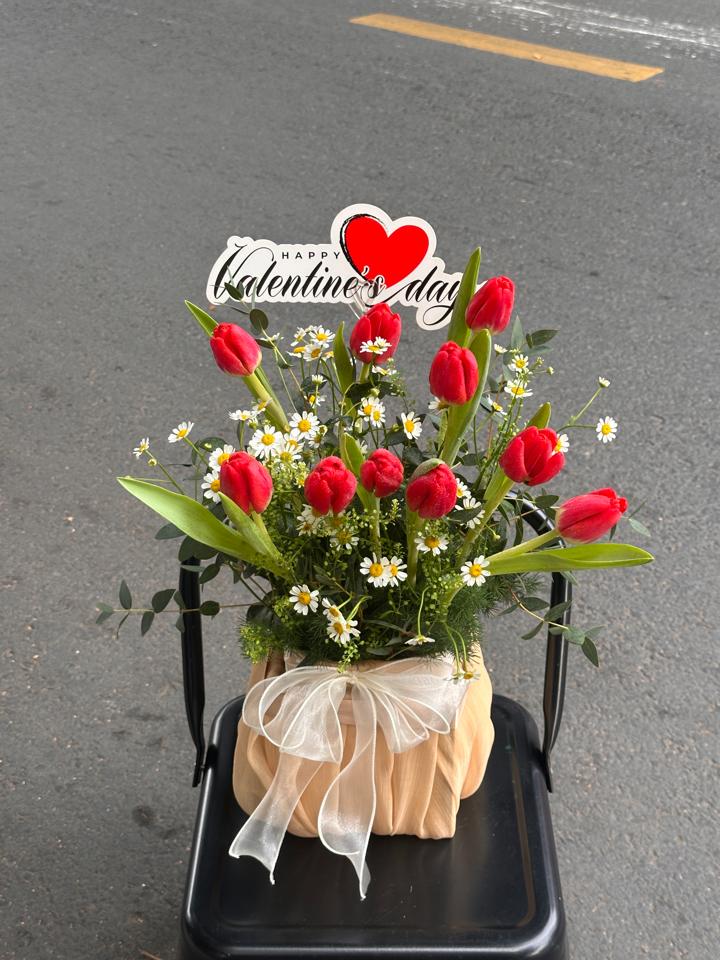 Giỏ hoa tulip đỏ mix cúc tana-duoc-ban-tai-Một Tiệm Hoa