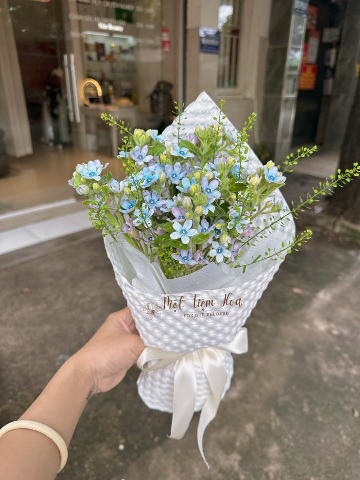 Sao Xanh (Lam Tinh)-duoc-ban-tai-Một Tiệm Hoa