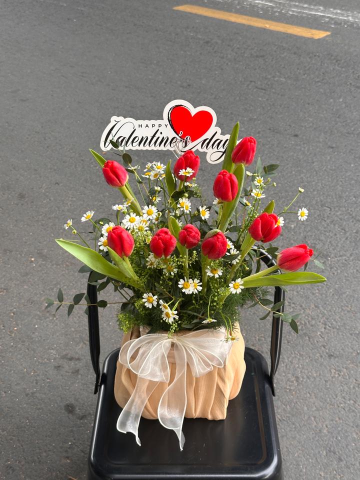 Giỏ hoa tulip đỏ mix cúc tana-duoc-ban-tai-Một Tiệm Hoa