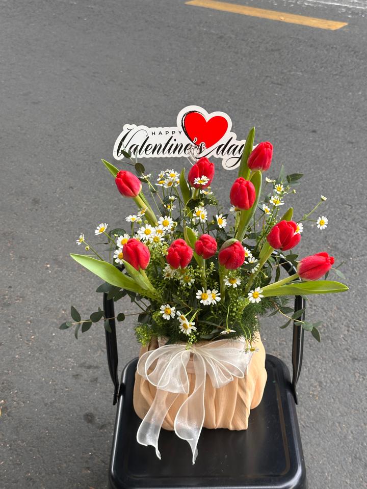 Giỏ hoa tulip đỏ mix cúc tana-duoc-ban-tai-Một Tiệm Hoa