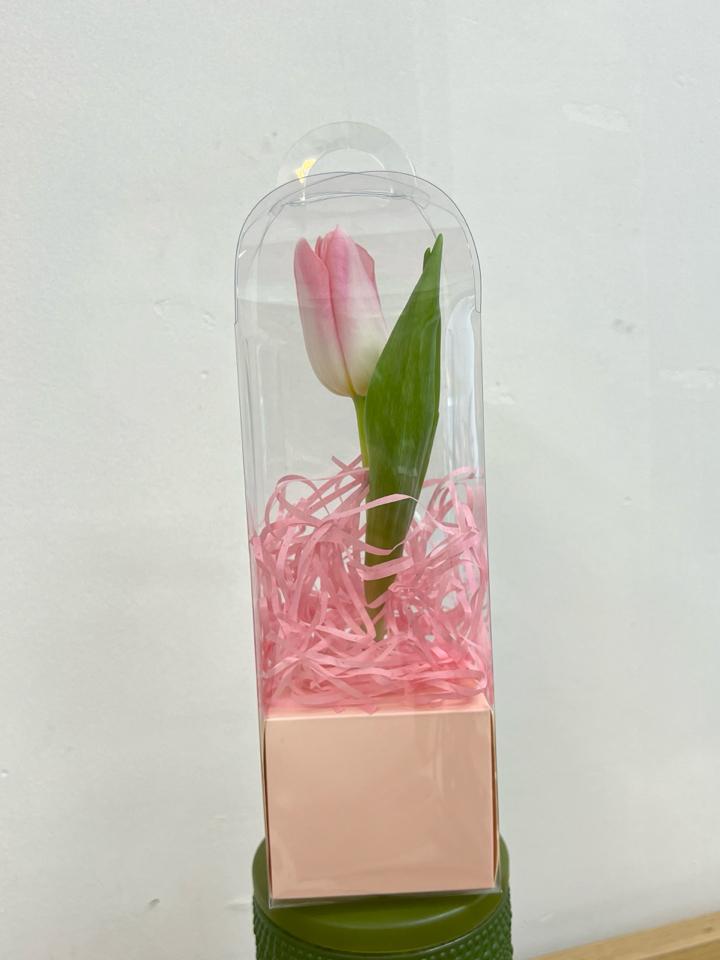Hộp hoa tulip-duoc-ban-tai-Một Tiệm Hoa