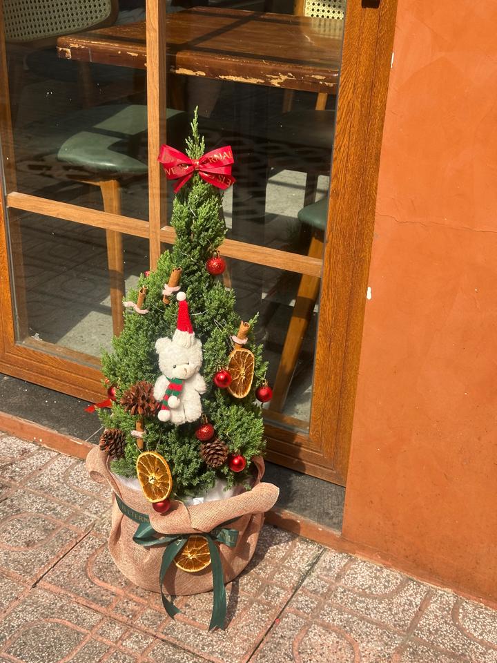 Cây thông noel cao 1m-duoc-ban-tai-Một Tiệm Hoa