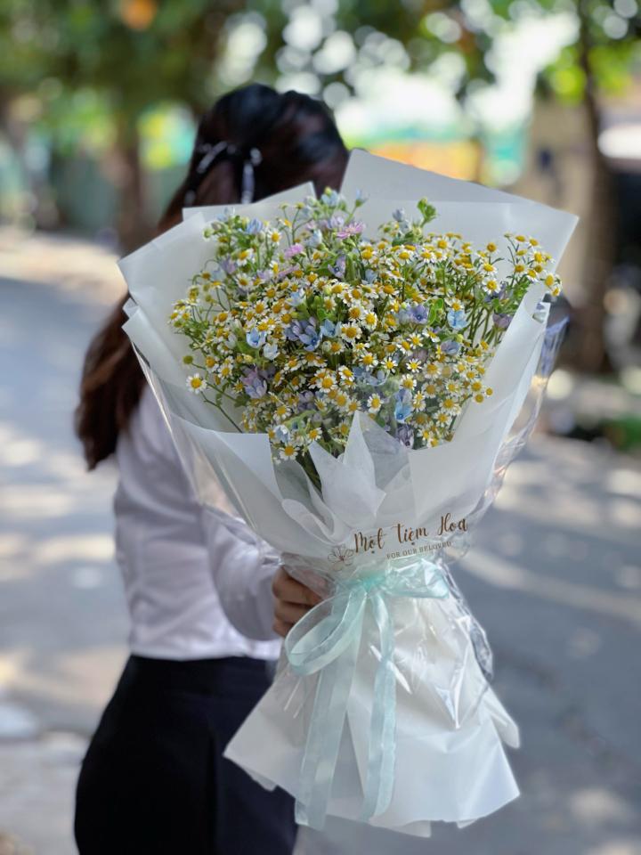 Cúc tana mix hoa sao xanh-duoc-ban-tai-Một Tiệm Hoa