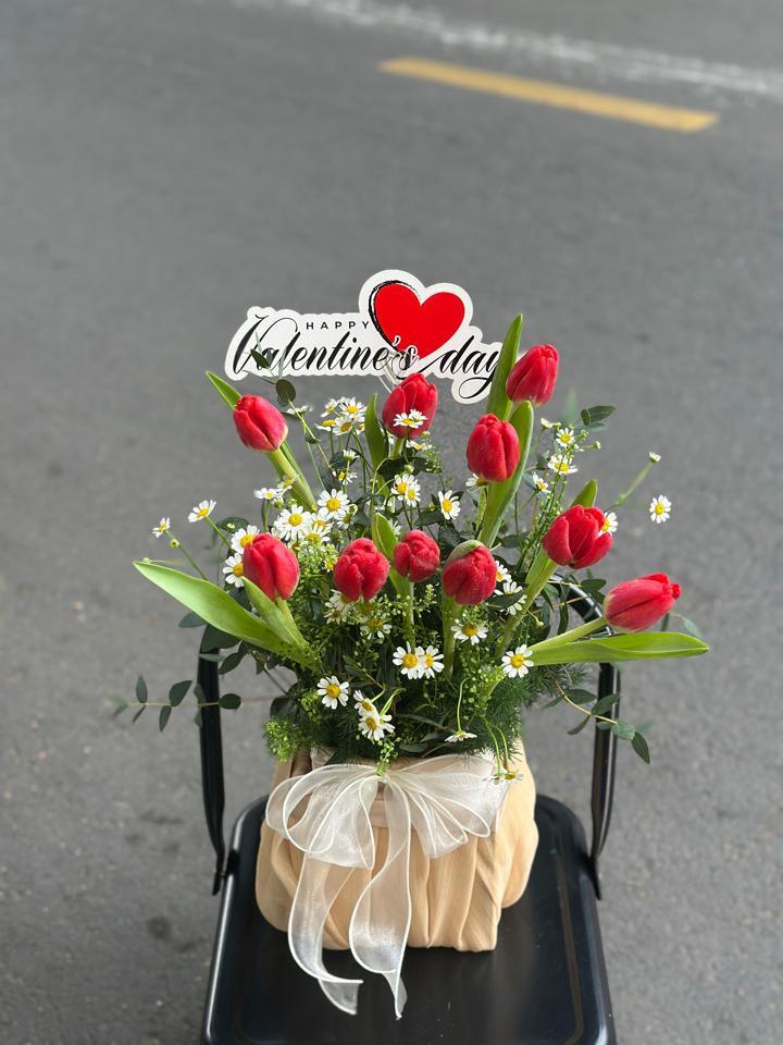 Giỏ hoa tulip đỏ mix cúc tana-duoc-ban-tai-Một Tiệm Hoa