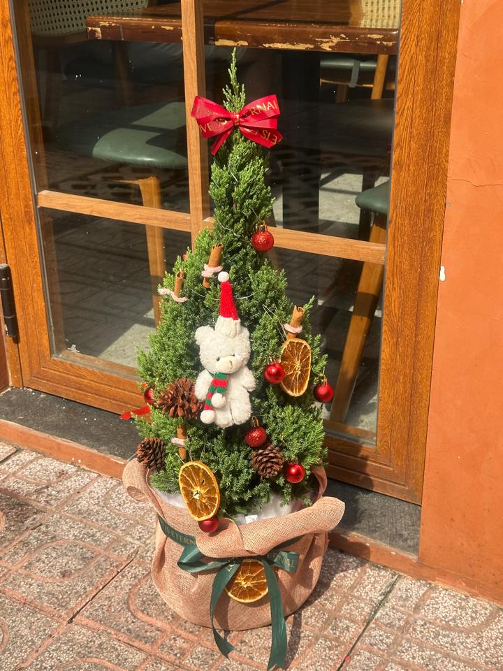 Cây thông noel cao 1m-duoc-ban-tai-Một Tiệm Hoa