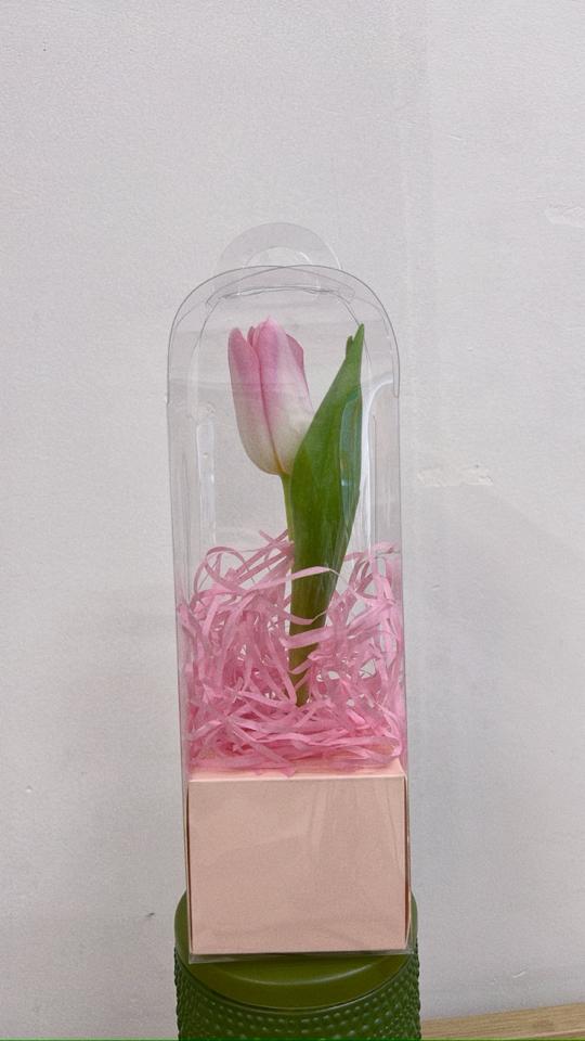 Hộp hoa tulip-duoc-ban-tai-Một Tiệm Hoa
