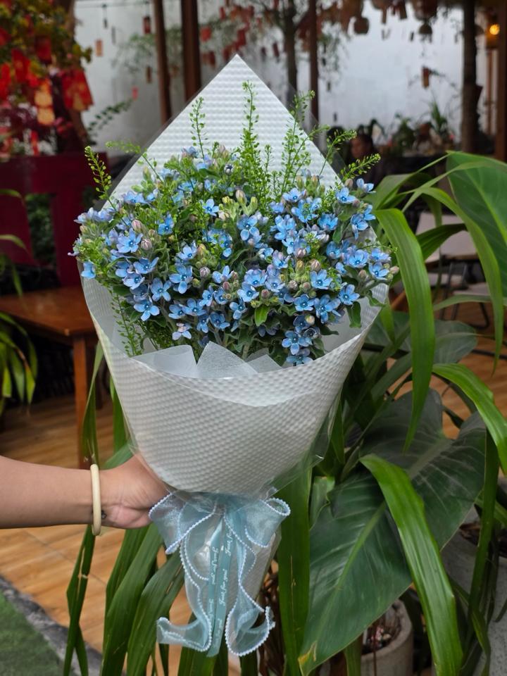 Bó hoa sao xanh -duoc-ban-tai-Một Tiệm Hoa