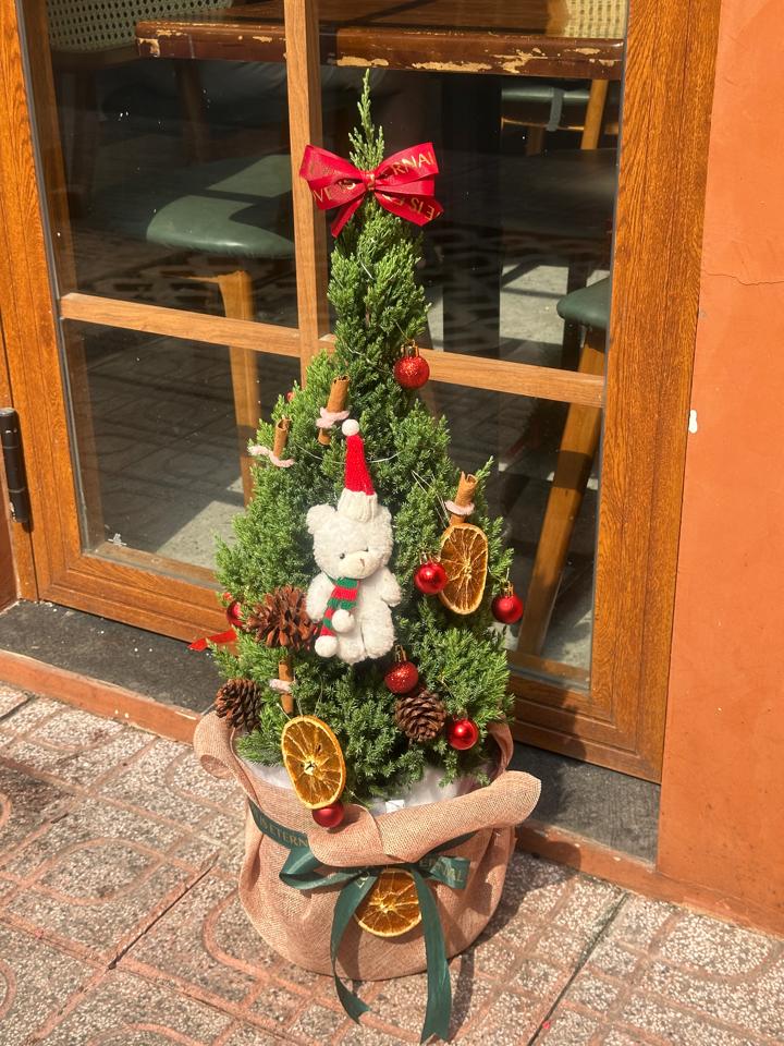 Cây thông noel cao 1m-duoc-ban-tai-Một Tiệm Hoa