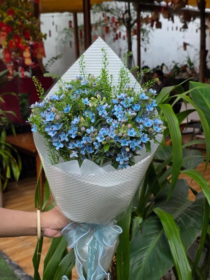 Bó hoa sao xanh -duoc-ban-tai-Một Tiệm Hoa