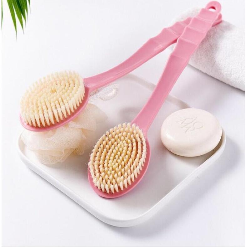 Cây trà cọ lưng có hạt masager, cây kỳ lưng có hạt kiểu mới-duoc-ban-tai-Quỳnh vy