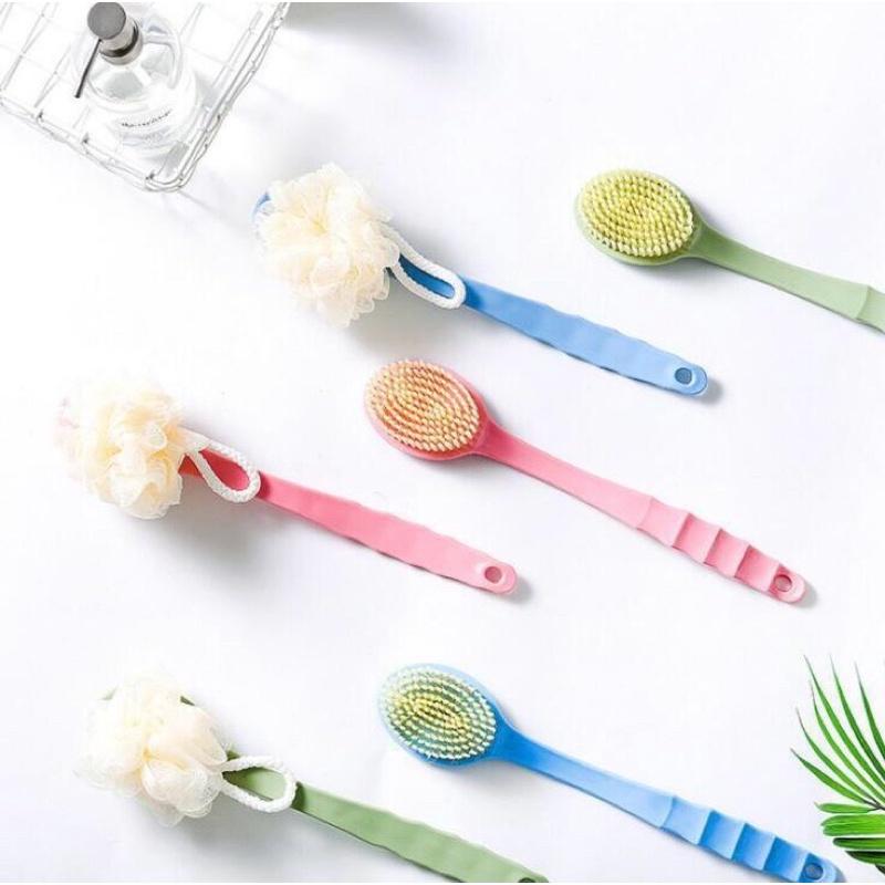 Cây trà cọ lưng có hạt masager, cây kỳ lưng có hạt kiểu mới-duoc-ban-tai-Quỳnh vy