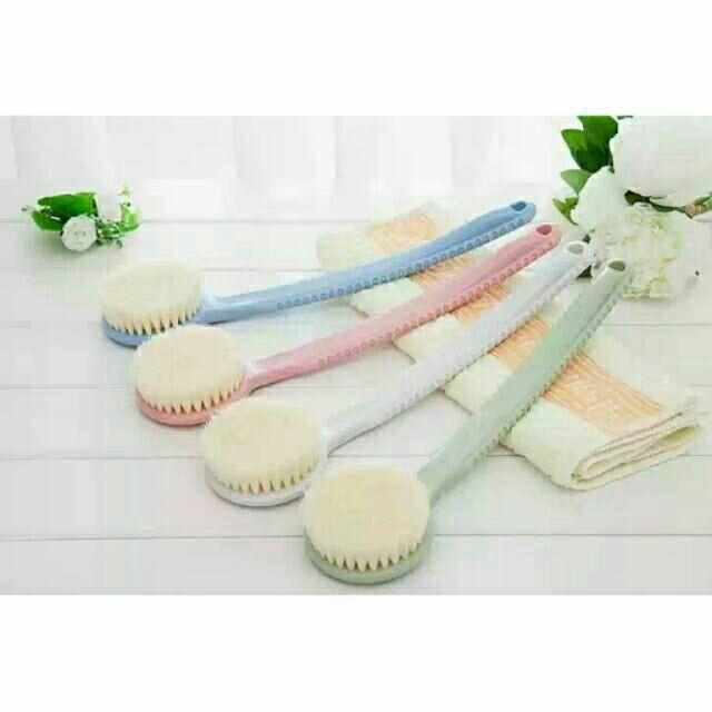 Cây trà cọ lưng có hạt masager, cây kỳ lưng có hạt kiểu mới-duoc-ban-tai-Quỳnh vy