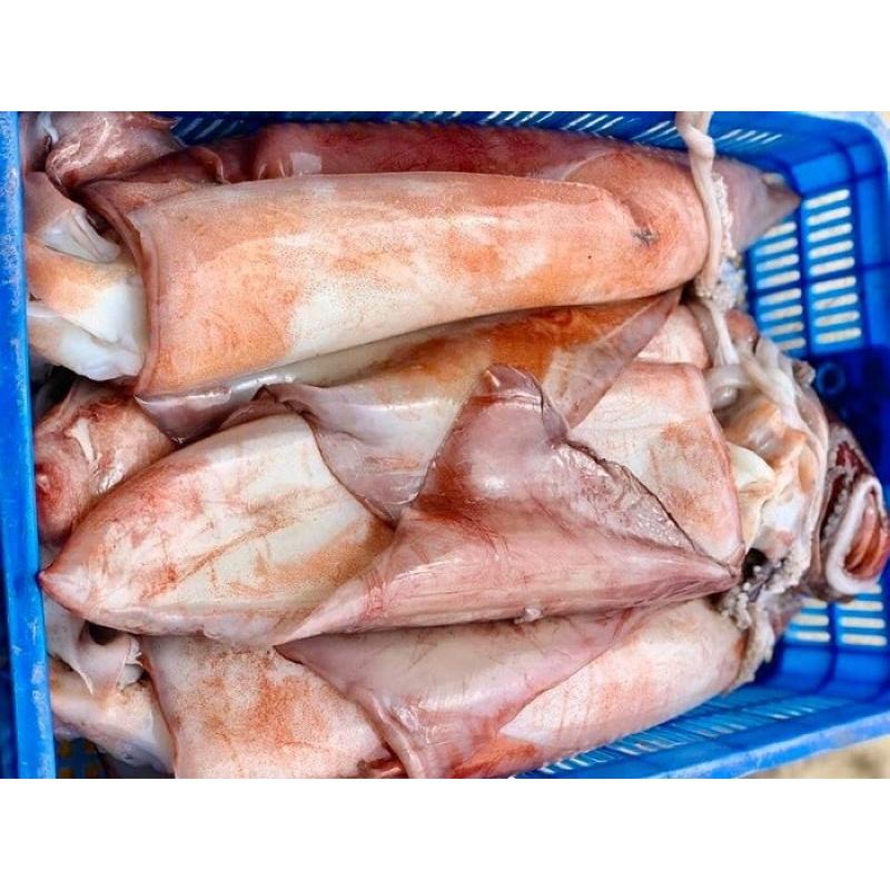 Mực lá đại dương cắt khúc-duoc-ban-tai-Hải Sản Phương Châu