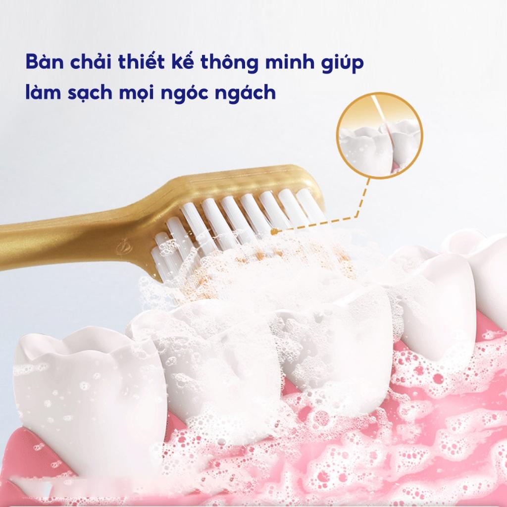 Bộ 6 bàn chải đánh răng lông tơ mềm mại zingee, Bàn chải Than tre hoạt tính nội địa Trung siêu êm-duoc-ban-tai-Quỳnh vy
